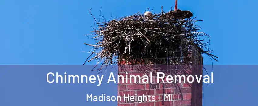  Chimney Animal Removal Madison Heights - MI
