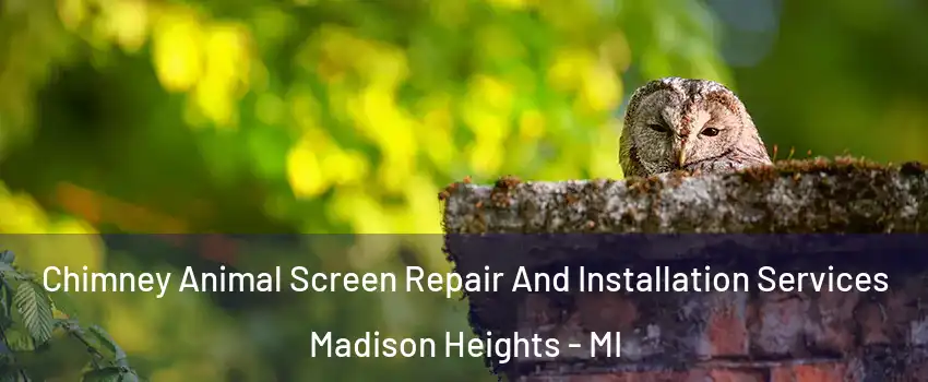  Chimney Animal Screen Repair And Installation Services Madison Heights - MI
