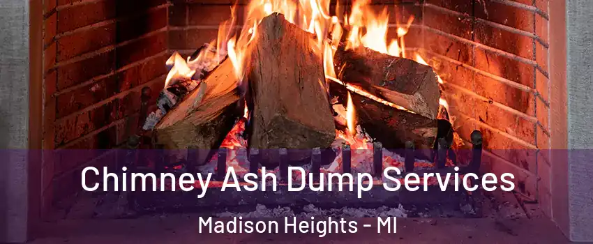  Chimney Ash Dump Services Madison Heights - MI
