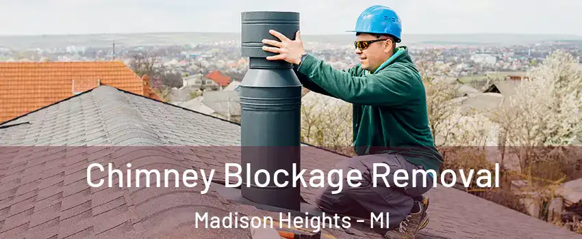  Chimney Blockage Removal Madison Heights - MI