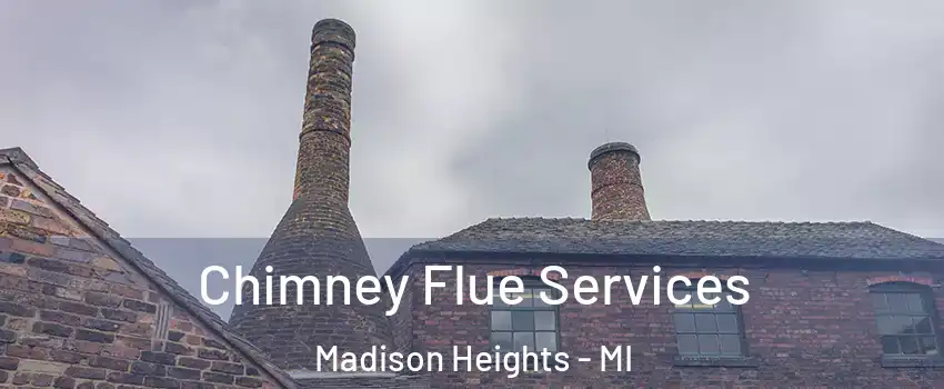  Chimney Flue Services Madison Heights - MI