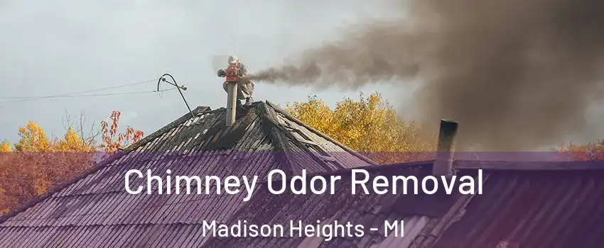  Chimney Odor Removal Madison Heights - MI