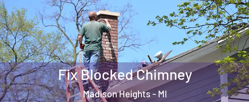  Fix Blocked Chimney Madison Heights - MI