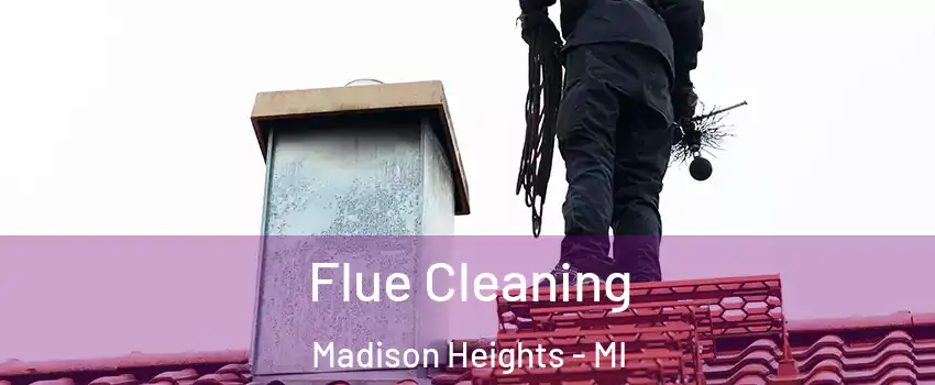  Flue Cleaning Madison Heights - MI