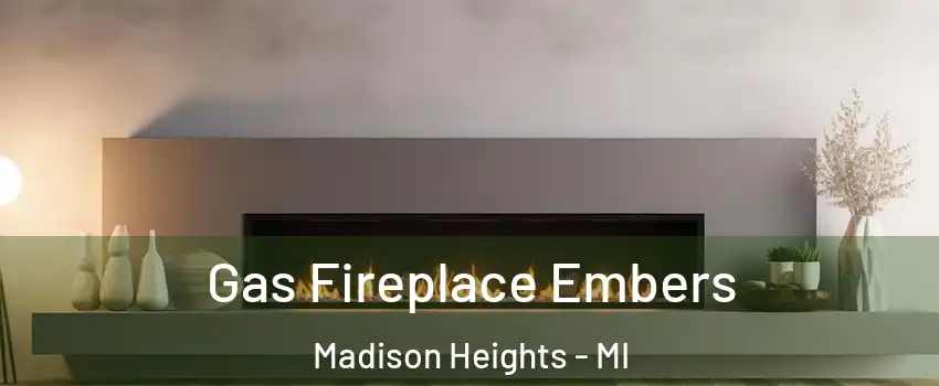  Gas Fireplace Embers Madison Heights - MI