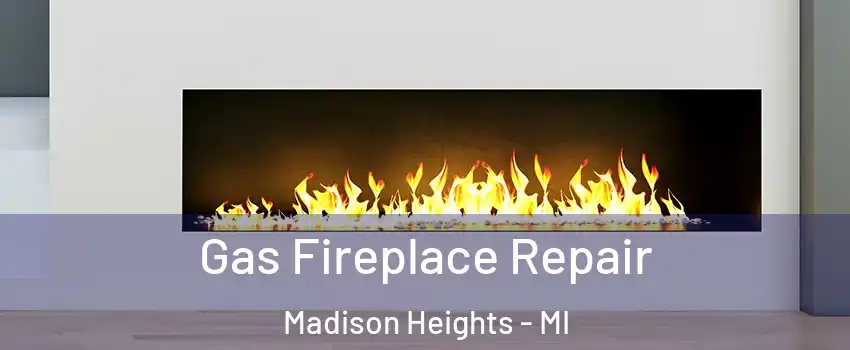  Gas Fireplace Repair Madison Heights - MI