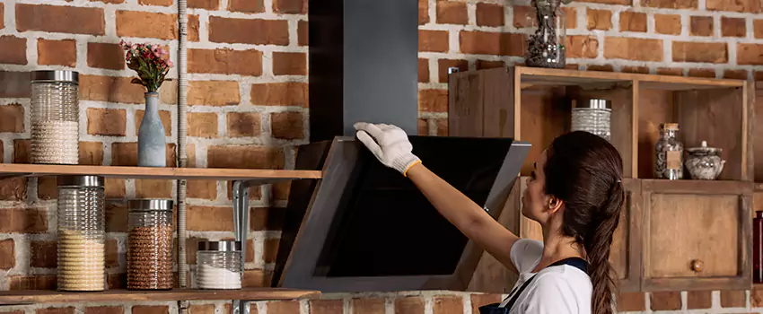 Chimney Installation in Madison Heights, MI