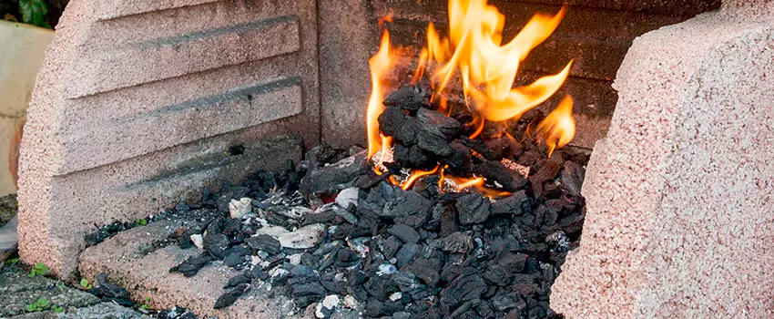 Remove Creosote From Brick in Madison Heights, MI