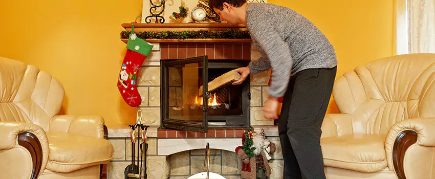 Gas to Wood-Burning Fireplace Conversion Services in Madison Heights, Michigan