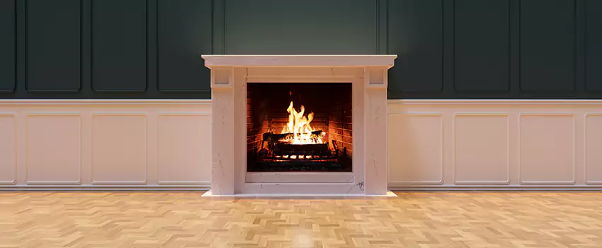 Napoleon Electric Fireplaces Inspection Service in Madison Heights, Michigan