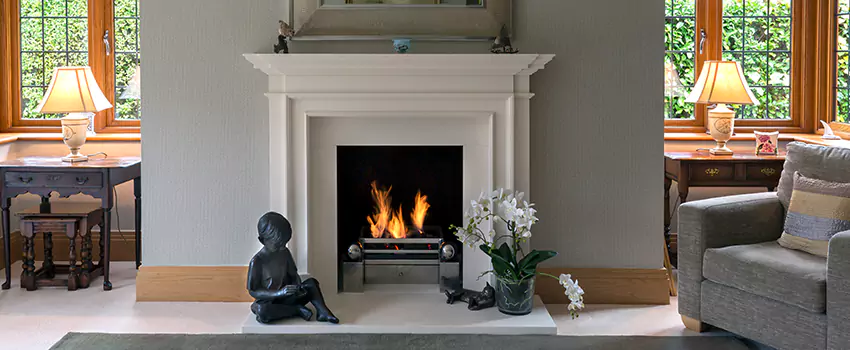 Astria Open-Hearth Wood Fireplaces Services in Madison Heights, MI