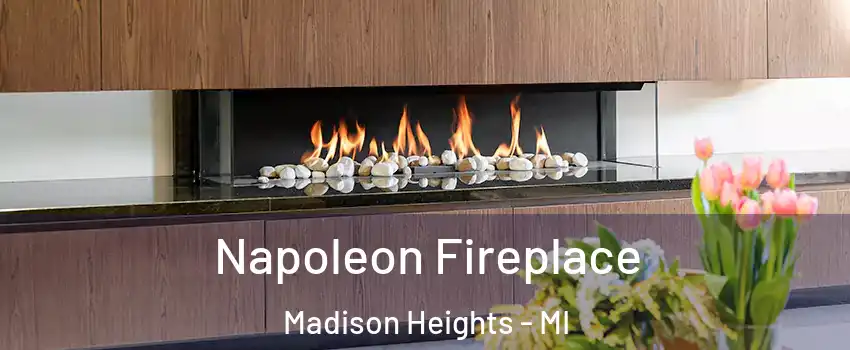  Napoleon Fireplace Madison Heights - MI